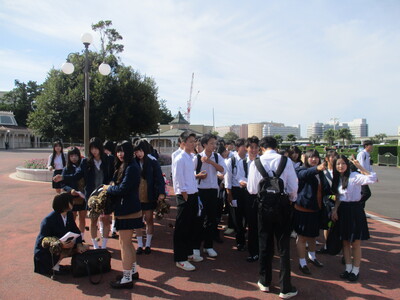 04TDL