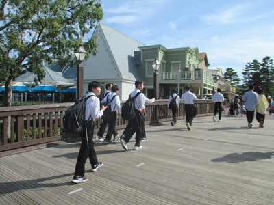 06TDL