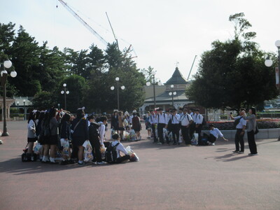 12TDL